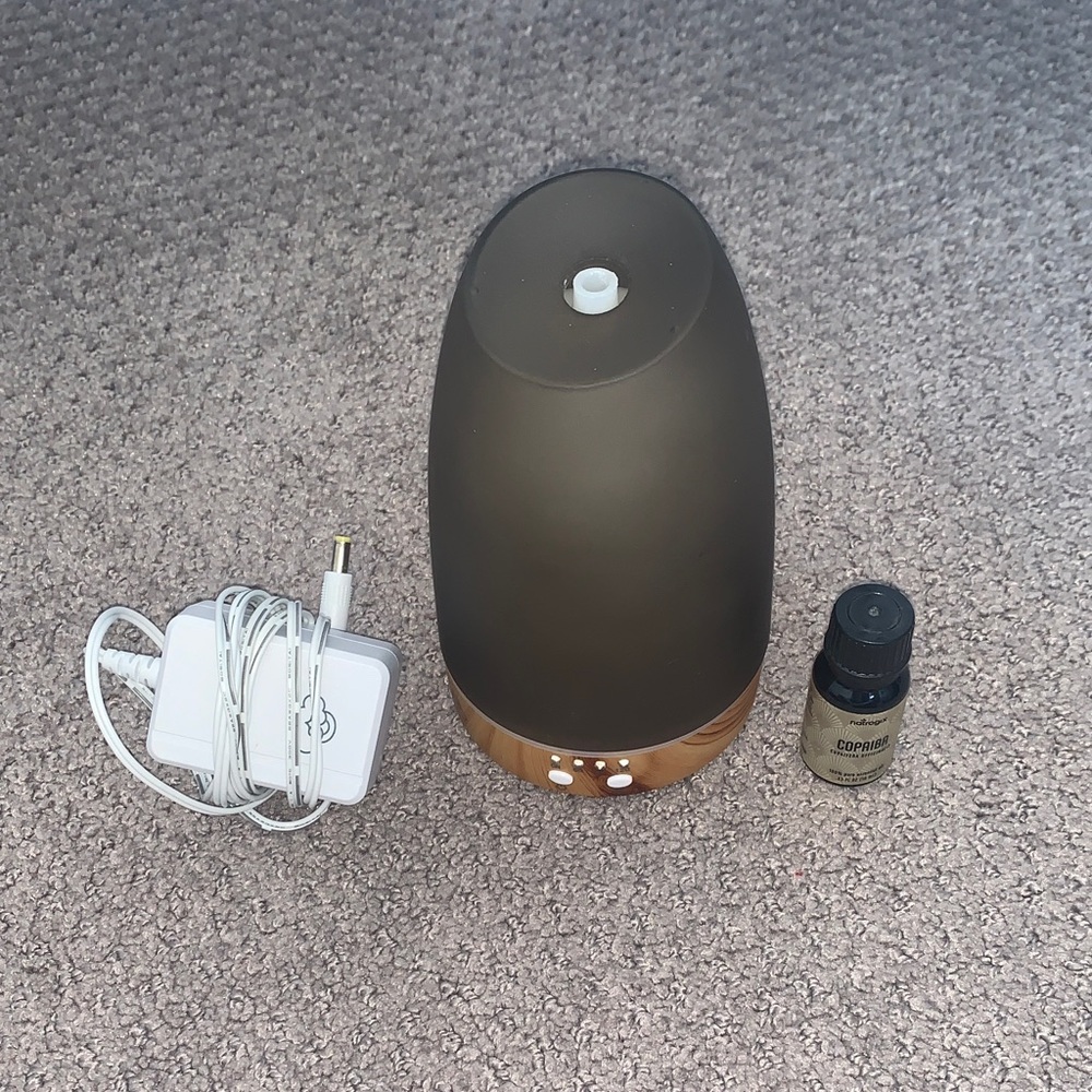 Serene House Glass Ultrasonic Aroma Diffuser with Essential Oil Bottle
